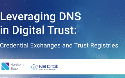 Leveraging DNS in Digital Trust: Credential Exchanges and Trust Registries